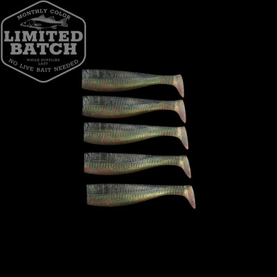 LTD - 3" Paddle Tail