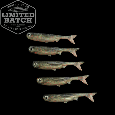 LTD - K-Tails